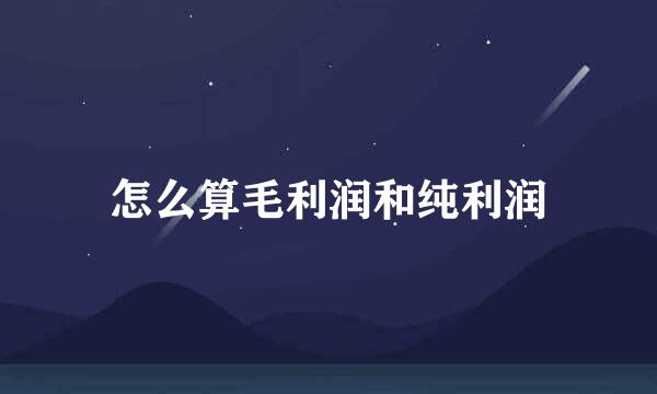 怎么算毛利润和纯利润