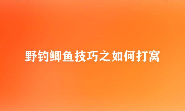 野钓鲫鱼技巧之如何打窝