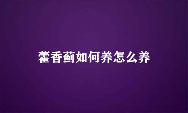 藿香蓟如何养怎么养