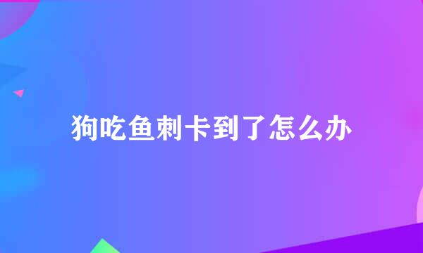 狗吃鱼刺卡到了怎么办