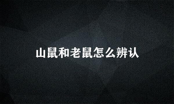 山鼠和老鼠怎么辨认