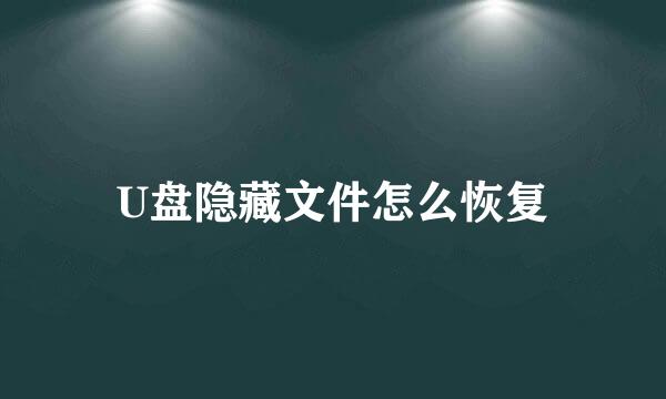 U盘隐藏文件怎么恢复