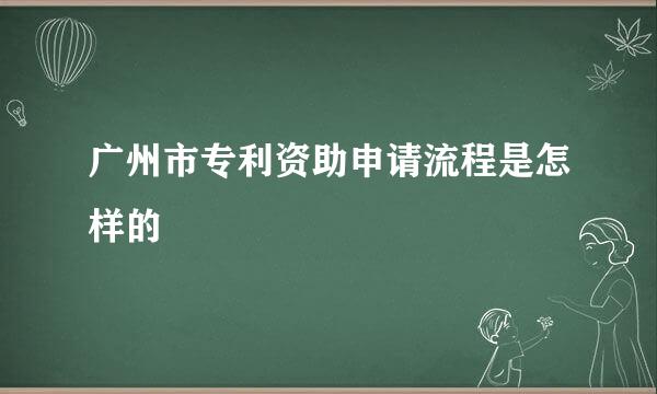 广州市专利资助申请流程是怎样的