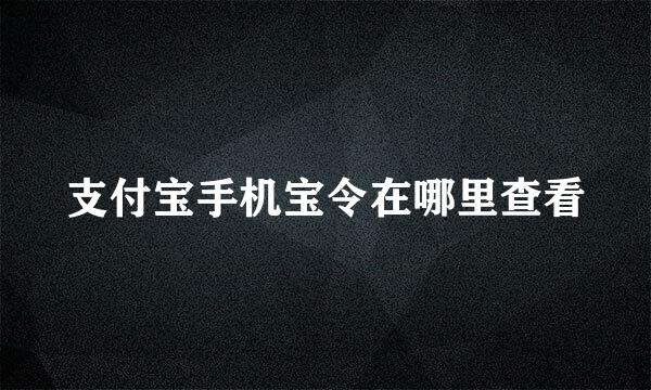 支付宝手机宝令在哪里查看