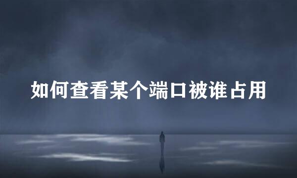 如何查看某个端口被谁占用