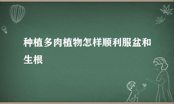 种植多肉植物怎样顺利服盆和生根