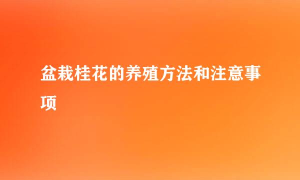 盆栽桂花的养殖方法和注意事项