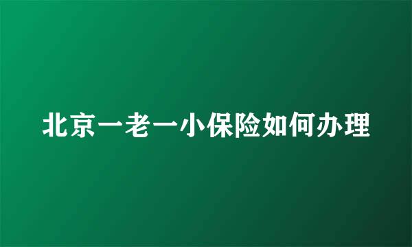 北京一老一小保险如何办理