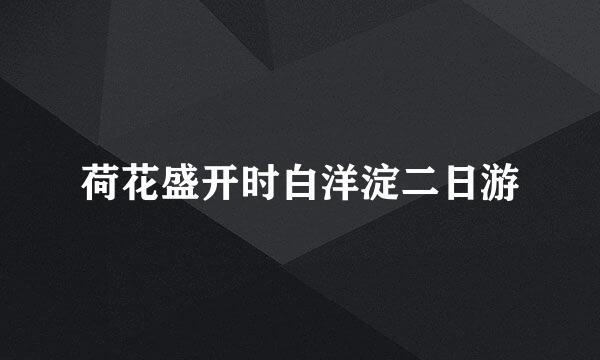 荷花盛开时白洋淀二日游