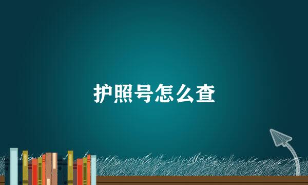 护照号怎么查