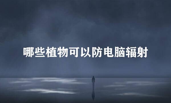 哪些植物可以防电脑辐射