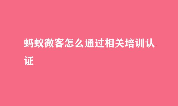 蚂蚁微客怎么通过相关培训认证