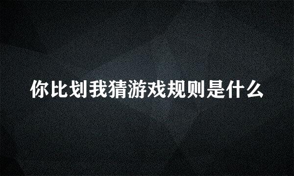 你比划我猜游戏规则是什么