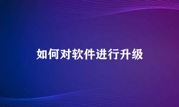如何对软件进行升级