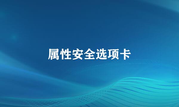 属性安全选项卡