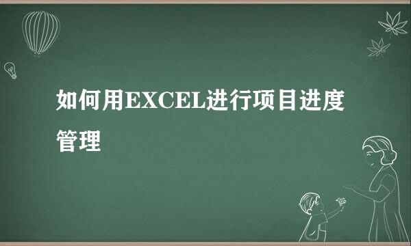 如何用EXCEL进行项目进度管理