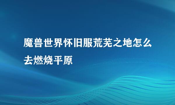 魔兽世界怀旧服荒芜之地怎么去燃烧平原