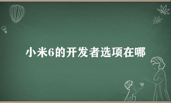 小米6的开发者选项在哪