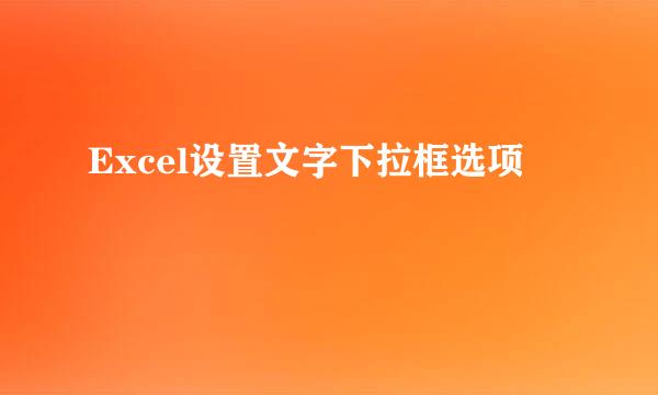Excel设置文字下拉框选项