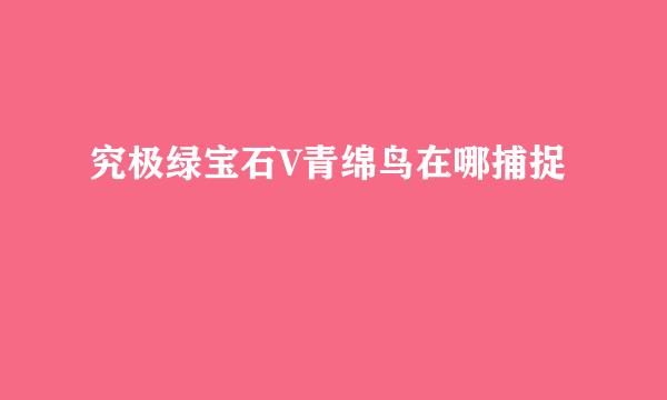 究极绿宝石V青绵鸟在哪捕捉