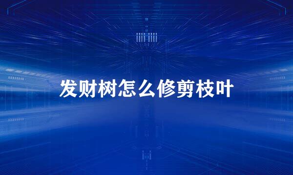 发财树怎么修剪枝叶