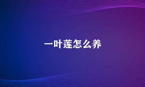 一叶莲怎么养