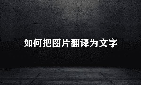 如何把图片翻译为文字