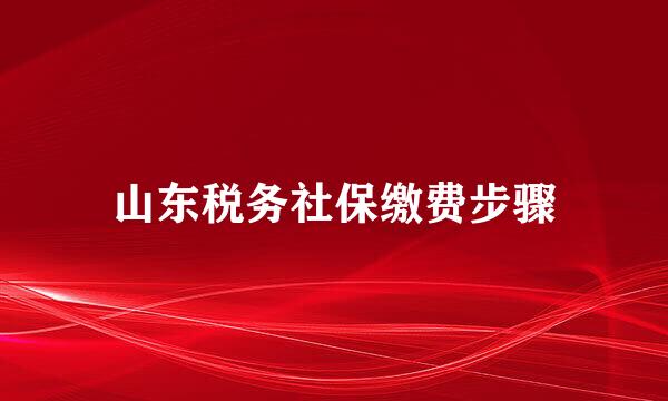 山东税务社保缴费步骤