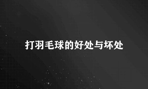 打羽毛球的好处与坏处