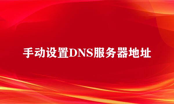 手动设置DNS服务器地址