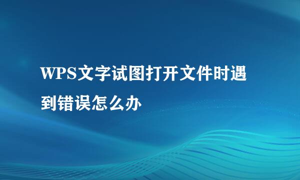 WPS文字试图打开文件时遇到错误怎么办