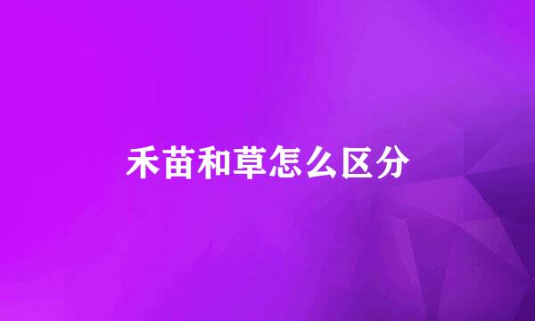 禾苗和草怎么区分
