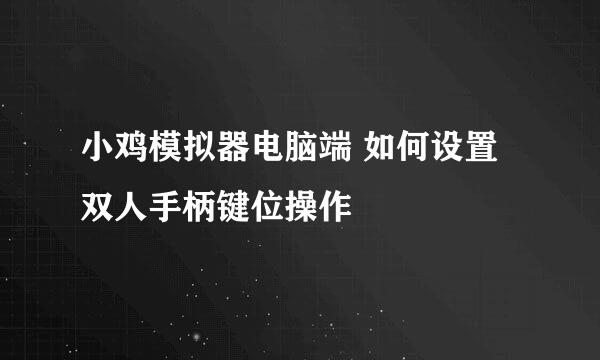 小鸡模拟器电脑端 如何设置双人手柄键位操作