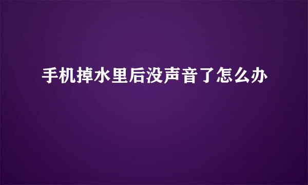 手机掉水里后没声音了怎么办
