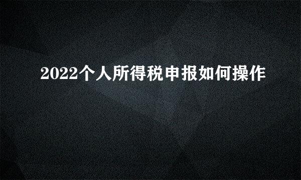 2022个人所得税申报如何操作