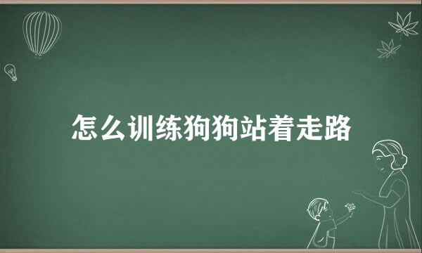 怎么训练狗狗站着走路