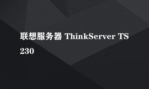 联想服务器 ThinkServer TS230