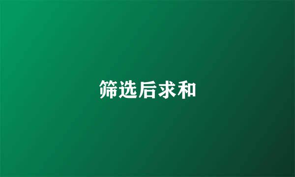 筛选后求和