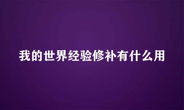 我的世界经验修补有什么用