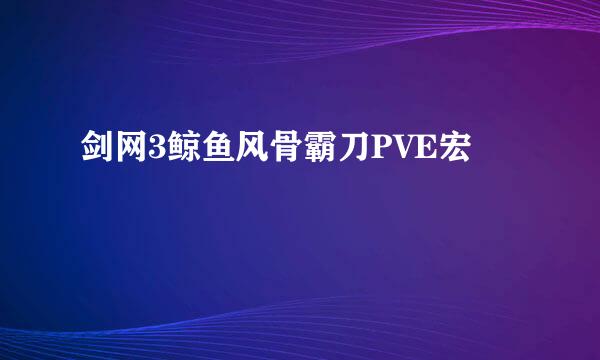剑网3鲸鱼风骨霸刀PVE宏