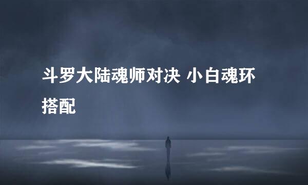 斗罗大陆魂师对决 小白魂环搭配
