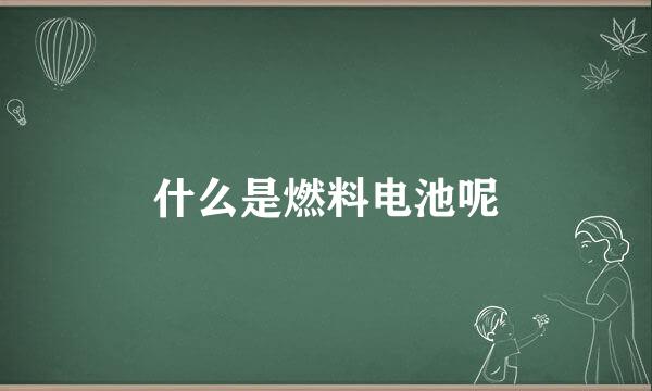什么是燃料电池呢