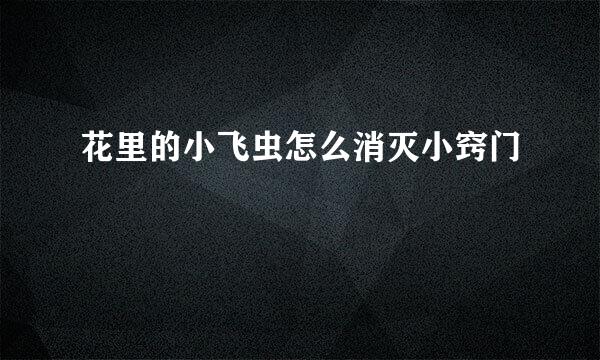 花里的小飞虫怎么消灭小窍门