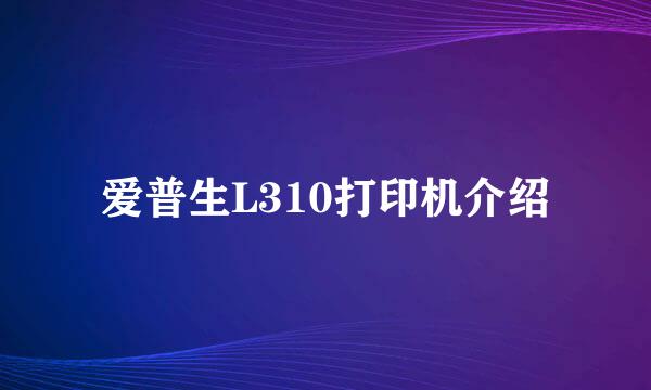 爱普生L310打印机介绍
