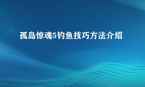 孤岛惊魂5钓鱼技巧方法介绍