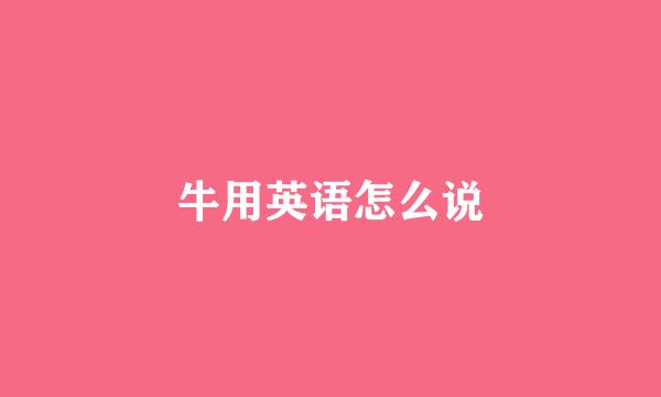 牛用英语怎么说