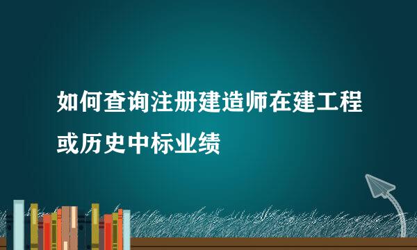 如何查询注册建造师在建工程或历史中标业绩