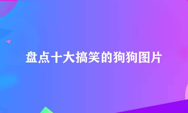盘点十大搞笑的狗狗图片