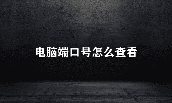 电脑端口号怎么查看