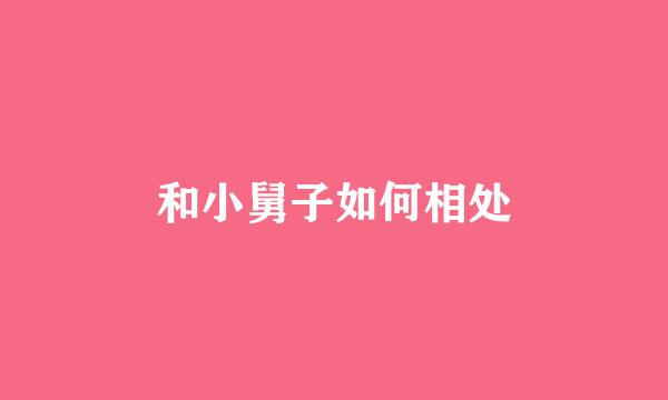 和小舅子如何相处